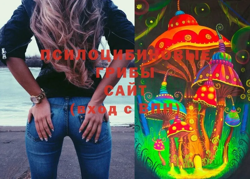 Псилоцибиновые грибы Magic Shrooms  Кинель 